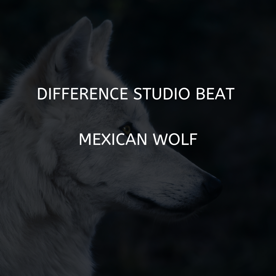 Difference studio beat Mexican wolf